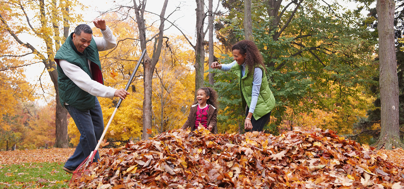 Fall Into an Active Autumn