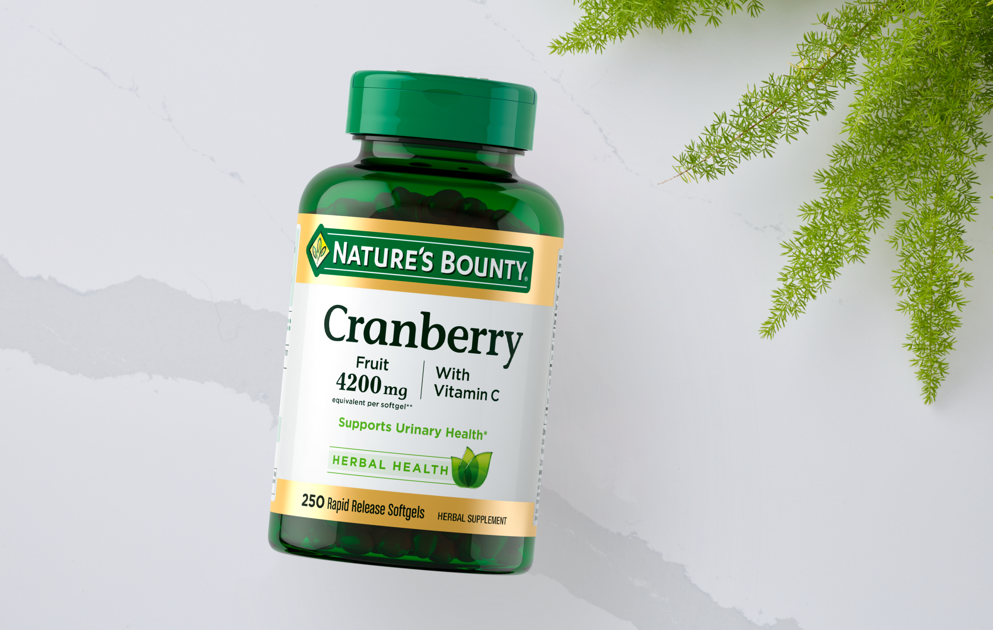 Urinary Tract Health