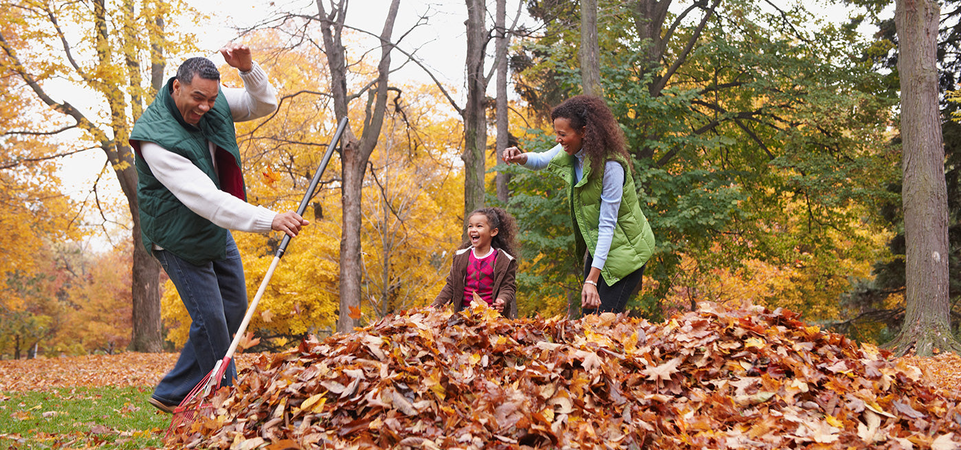 Active Autumn