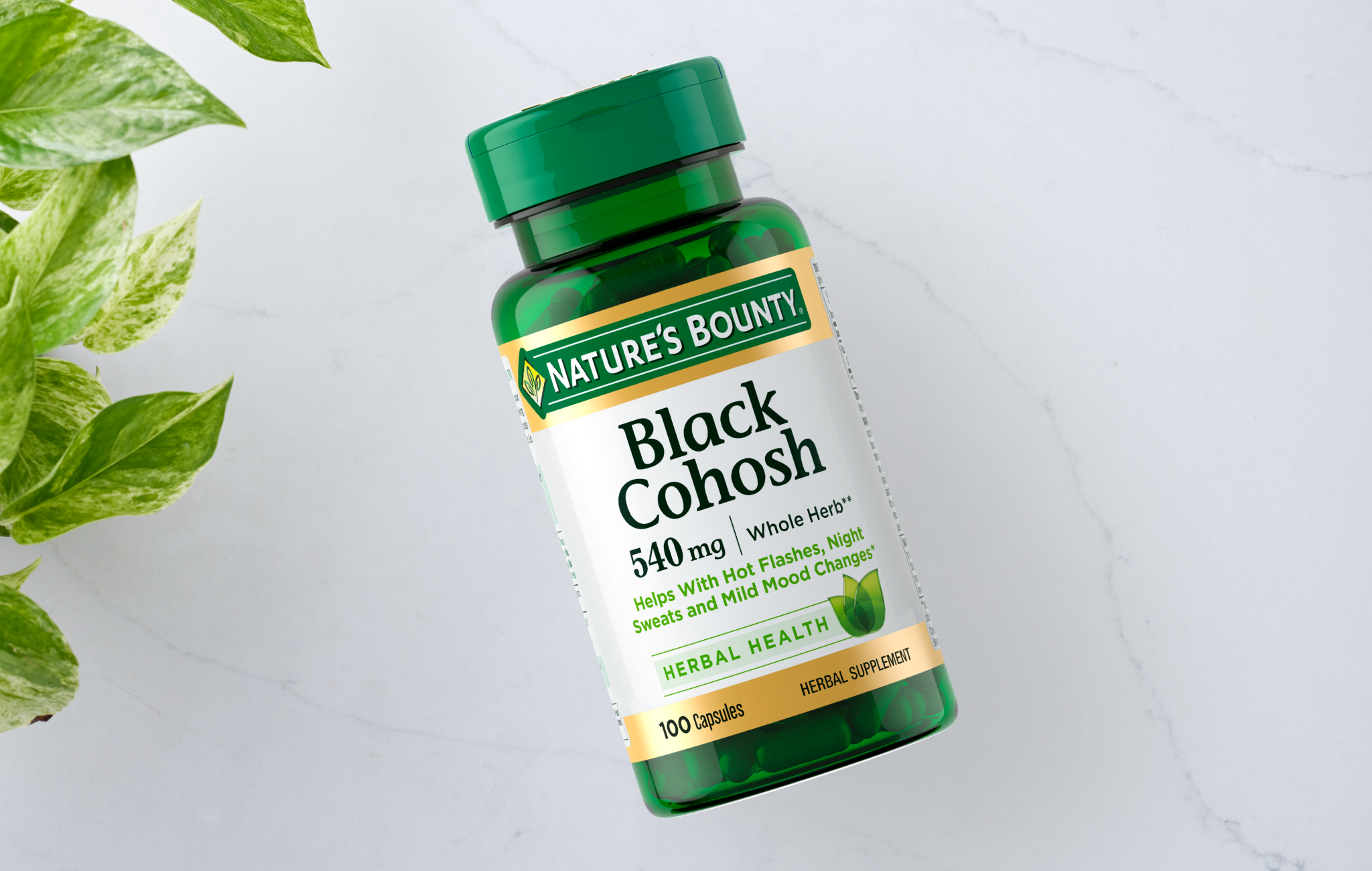 Coosh Classification Black Cohosh – Nature's Bounty