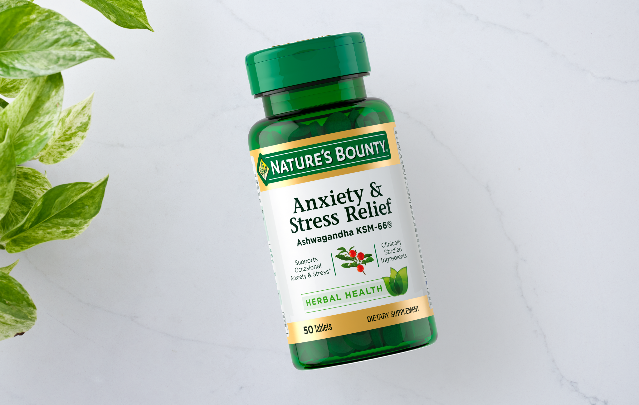 Ashwagandha Ksm 66 Gummies Reduces Stress Anxiety Improves Sleep Supports Immunue System
